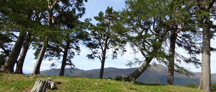 Craigh na Dun hill where the standing stones were filmed